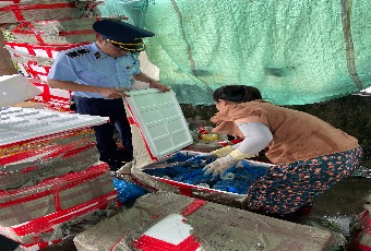 Phát hiện 300kg cà ra không rõ nguồn gốc