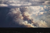 Cháy rừng bùng phát khắp Tây Bắc Canada, dân chúng tháo chạy