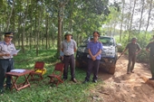 VKSND huyện Nghĩa Đàn kiểm sát việc cưỡng chế giao quyền sử dụng đất và tài sản