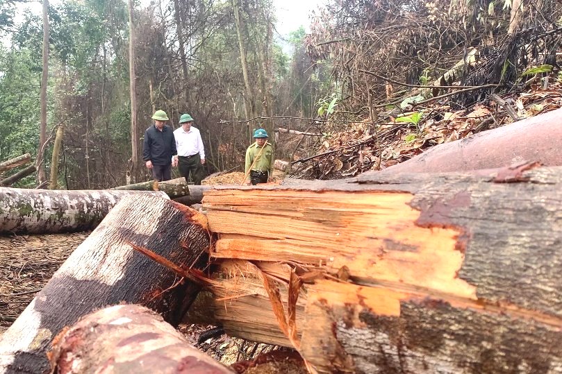 Vụ “Phá rừng tự nhiên ở Bắc Kạn” do Báo BVPL lật tẩy Đây là vụ án rất nghiêm trọng