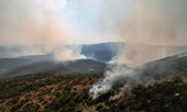 Châu Âu đối phó với vụ cháy rừng lớn chưa từng có ở Hy Lạp khiến 21 người thiệt mạng