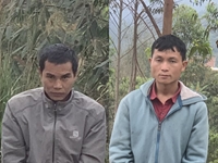 Truy tố 5 bị can tổ chức cho người nước ngoài nhập cảnh trái phép vào Việt Nam