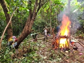 Tái diễn nạn khai thác vàng trái phép trong rừng đặc dụng ở Thanh Hóa