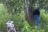 Phát hiện người phụ nữ treo cổ tử vong trong rừng tràm ở Gia Lai