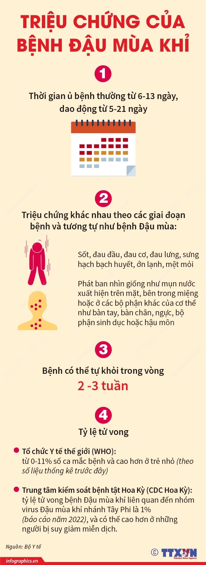 ảnh slide