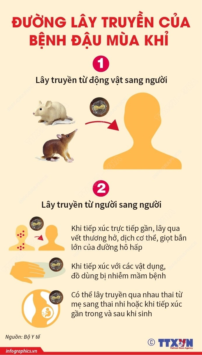 ảnh slide