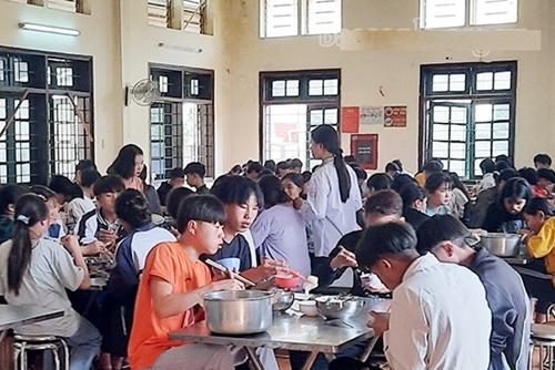 Bắt khẩn cấp nhân viên Trường THPT Chu Văn Thịnh bỏ chất diệt côn trùng vào thức ăn bán trú