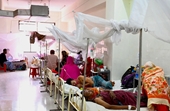 Dịch sốt xuất huyết bùng phát tại Bangladesh, hơn 1 000 ca tử vong