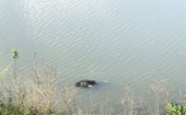 Phát hiện thi thể nam giới trôi trên sông ở Quảng Ninh
