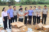VKSND huyện Hương Sơn kiểm sát việc tiêu hủy hơn 1 tấn pháo hoa nổ