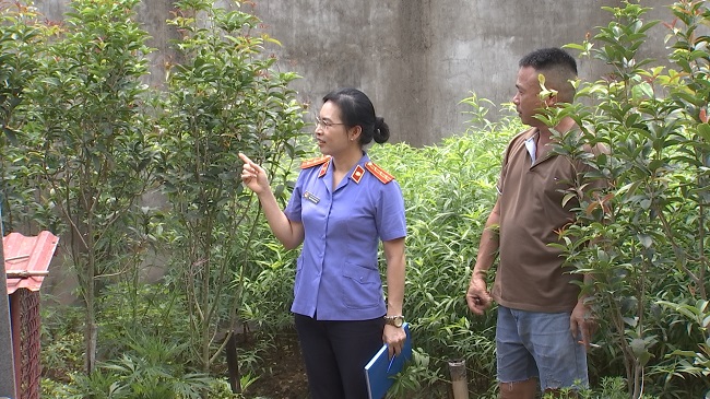 Vì lẽ công bằng