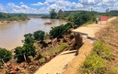 Sạt lở hàng ngàn m3 đất, cuốn cả đoạn đường bê tông xuống sông ở Đắk Nông