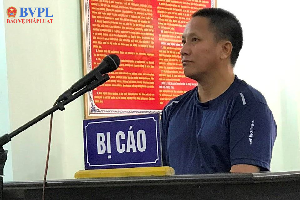 Chặt hạ 5 cây pơ mu rồi bỏ trốn sang Lào