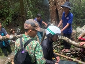 Viện kiểm sát thông tin về vụ cây rừng đè chết 3 người ở Đắk Lắk