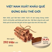 Việt Nam xuất khẩu quế đứng đầu thế giới