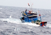 Đề nghị hỗ trợ cứu nạn khẩn cấp tàu cá Bình Định gặp nạn