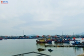 Sắp nạo vét, thanh thải đá ngầm tại cảng cá lớn nhất Bắc Trung Bộ