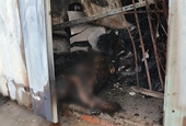 Lao vào dập lửa, một tài xế ngân hàng té ngã vào đám cháy tử vong