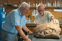 Phát hiện hóa thạch hộp sọ khổng lồ của loài quái vật biển hung dữ nhất kỷ Jura