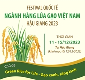 Festival Quốc tế ngành hàng lúa gạo Việt Nam tại Hậu Giang