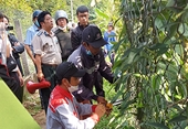 VKSND huyện Châu Thành, tỉnh Bến Tre kiểm sát việc cưỡng chế thi hành án dân sự