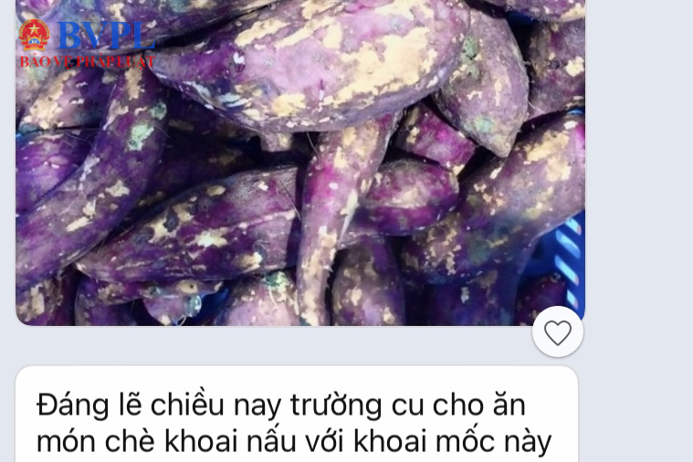 Vụ nhiều học sinh nhập viện sau bữa ăn tại Thanh Hoá Phụ huynh yêu cầu thay đơn vị cung ứng thực phẩm