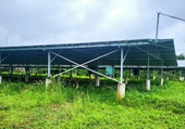 Nhiều vi phạm tại các dự án điện mặt trời núp bóng trang trại nông nghiệp ở Đắk Nông