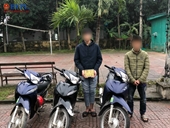 Hà Tĩnh bắt giữ nhóm thiếu niên trộm cắp xe mô tô liên tỉnh