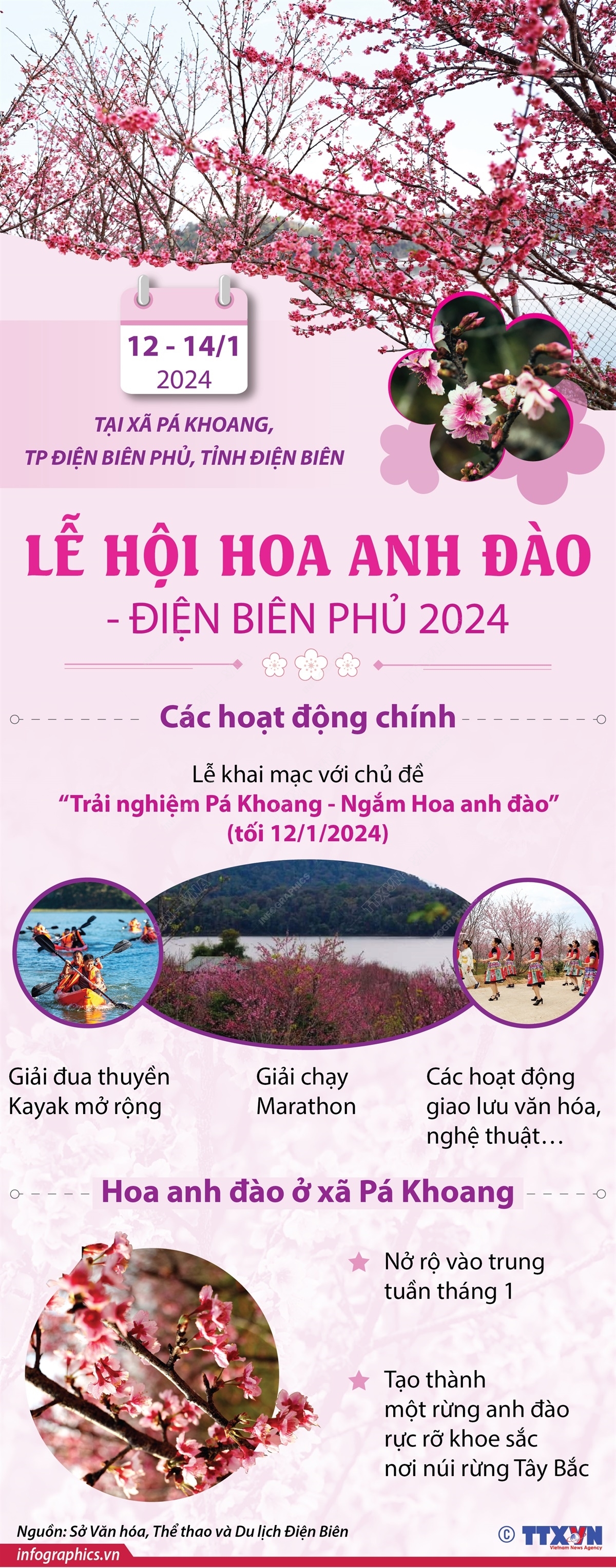 ảnh slide