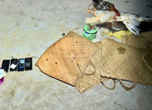 Triệt xóa tụ điểm đánh bạc ẩn nấp trong cánh đồng lúa, bắt giữ 13 đối tượng