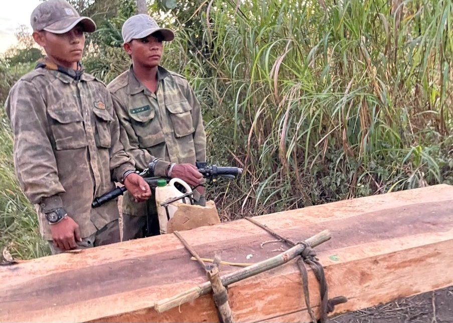 Tạm giữ 5 đối tượng khai thác, vận chuyển gỗ trái phép