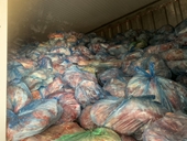 Phát hiện 40 tấn thịt lợn nhiễm dịch bệnh nguy hiểm