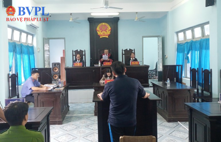 Bán rừng keo của người khác, lãnh án 6 năm tù