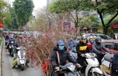 Bảo đảm trật tự, an toàn giao thông phục vụ Nhân dân đón Tết