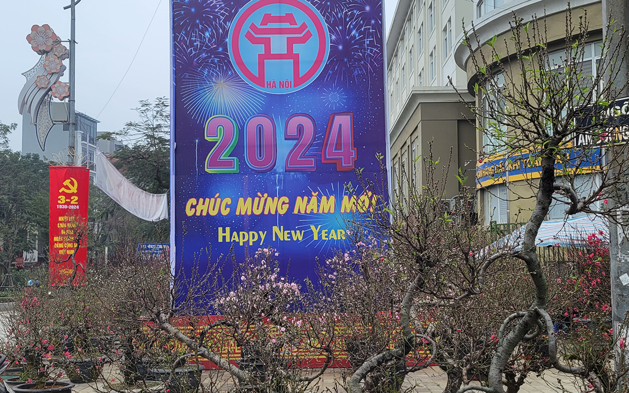 Sắc xuân ngập tràn đường phố Lạc Long Quân