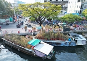 Độc đáo phiên chợ hoa “trên bến dưới thuyền” những ngày giáp Tết ở TP HCM