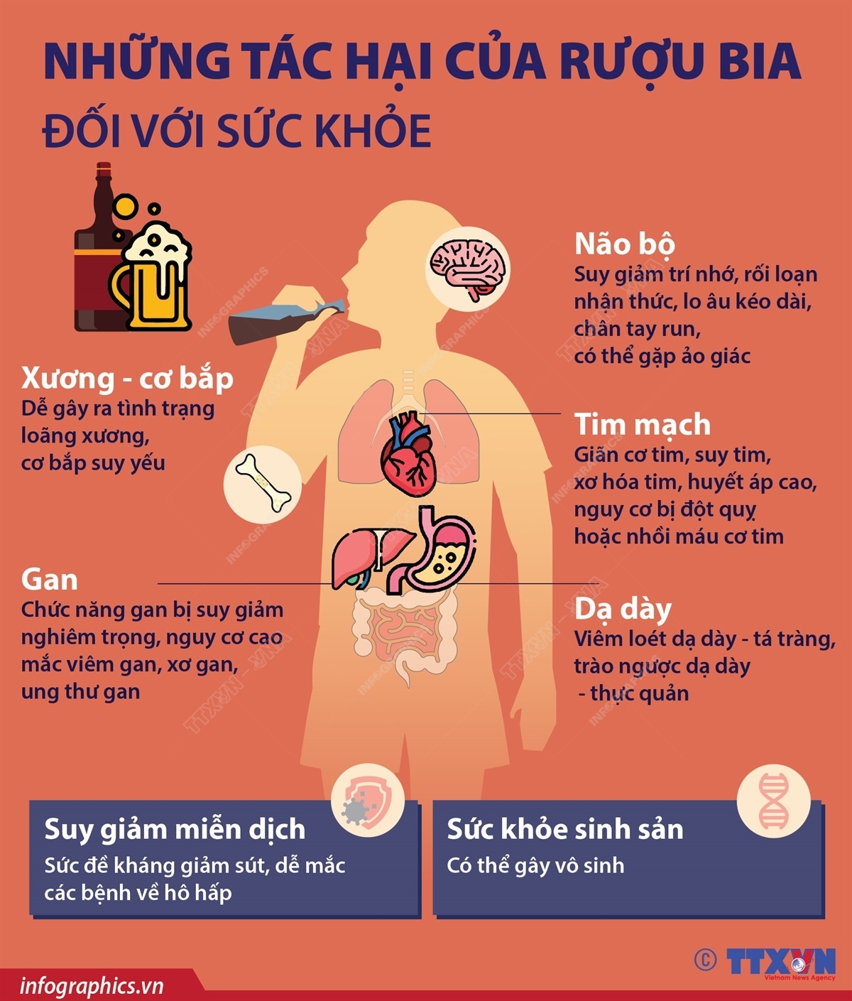 ảnh slide