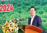 Chủ tịch nước dự Lễ phát động Tết trồng cây Đời đời nhớ ơn Bác Hồ