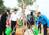 Đà Nẵng trồng 1 000 cây xanh tại Khu công nghiệp Hòa Khánh