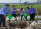 VKSND huyện Lộc Hà hưởng ứng Tết trồng cây