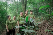 Thái Nguyên quản lý, bảo vệ và phát triển rừng được thực hiện có hiệu quả