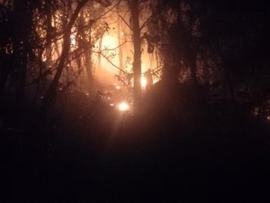 Hơn 100 người tham gia khống chế cháy rừng