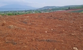 Tự ý cho thuê đất đang thuê của Nhà nước, Công ty Đa Dâng bị thu hồi gần 150ha đất