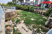 TP Hồ Chí Minh Kênh Nhiêu Lộc - Thị Nghè ngập trong rác
