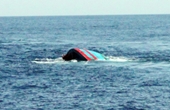 Tàu cá bị đâm chìm, 1 người mất tích ở vùng biển Bình Thuận