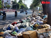 TP Hồ Chí Minh Rác thải chất đống ven đường gây hôi thối, ô nhiễm môi trường