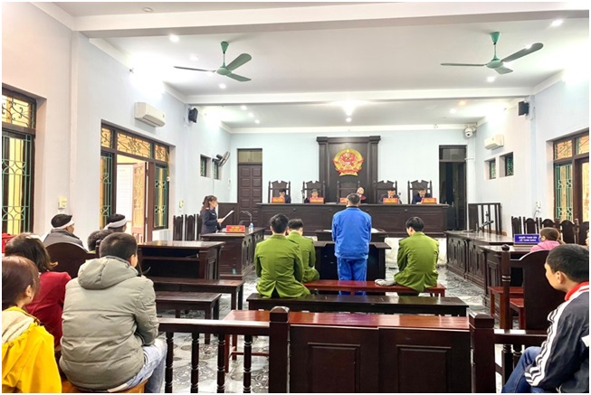 Tranh chấp cây trứng gà, bị cáo lĩnh 19 năm tù