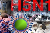 Nhiễm cúm A H5N1 tỉ lệ tử vong gần 50 , chưa có thuốc điều trị đặc hiệu