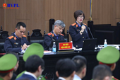 Bản lĩnh Kiểm sát viên trong phiên tòa xét xử Chủ tịch Tập đoàn Tân Hoàng Minh và đồng phạm