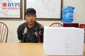 Thu giữ số lượng lớn ma túy tại huyện Điện Biên